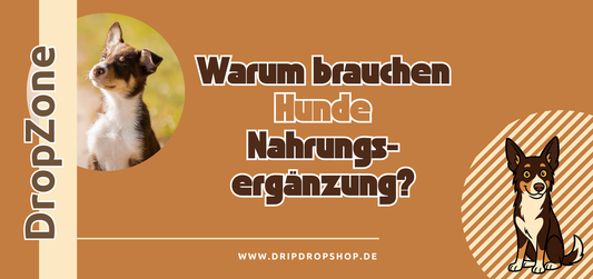 Warum brauchen Hunde Nahrungsergänzung?