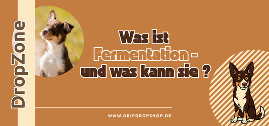 Was ist Fermentation – und warum ist sie so wichtig für Hunde?