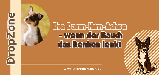 Die Darm-Hirn-Achse – wenn der Bauch das Denken lenkt