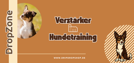 Verstärker im Hundetraining