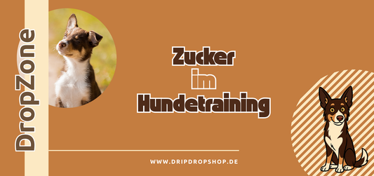 Zucker im Hundetraining – Freund oder Feind?