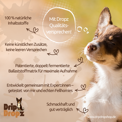DripDropz - Balance | Darmruhe, Balance & Wohlbefinden für deinen Hund