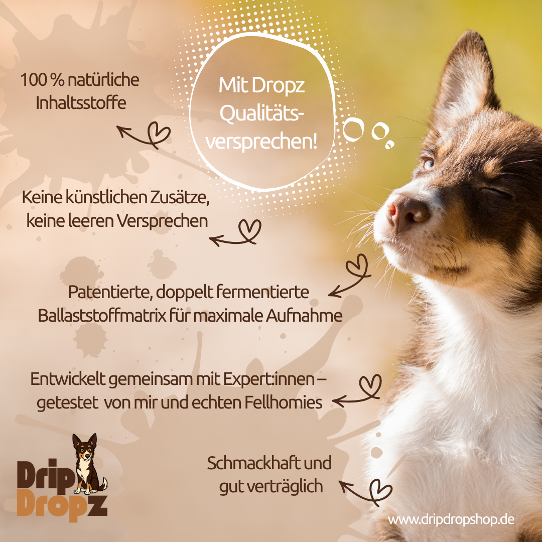DripDropz - Recharge | Energie, Ausdauer & Balance für deinen Hund