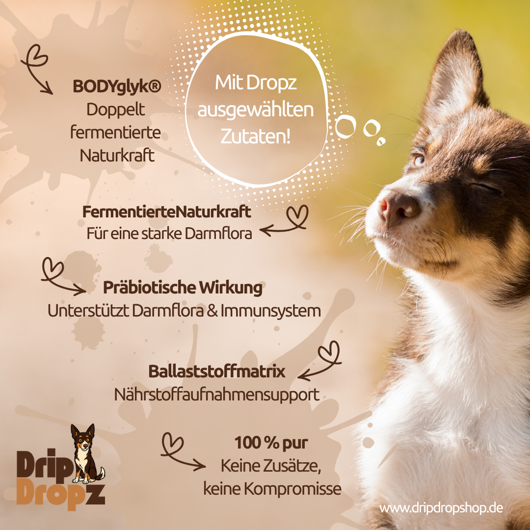 DripDropz - Balance | Darmruhe, Balance & Wohlbefinden für deinen Hund
