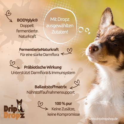 DripDropz - Balance | Darmruhe, Balance & Wohlbefinden für deinen Hund