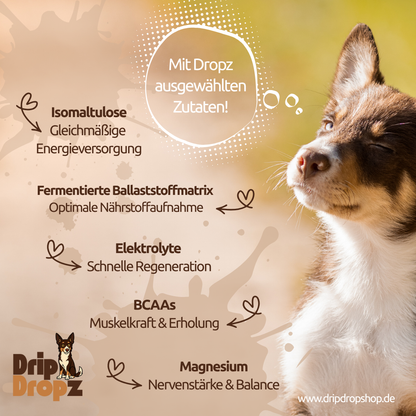DripDropz - Recharge | Energie, Ausdauer & Balance für deinen Hund