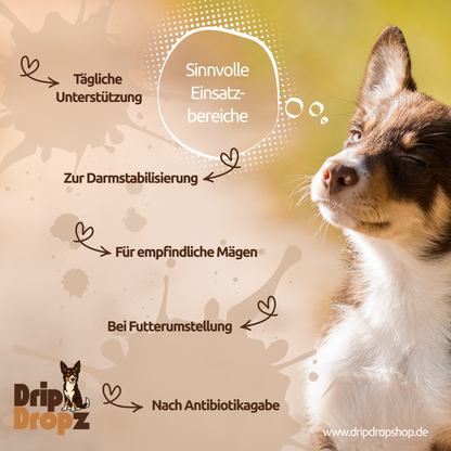 DripDropz - Balance | Darmruhe, Balance & Wohlbefinden für deinen Hund