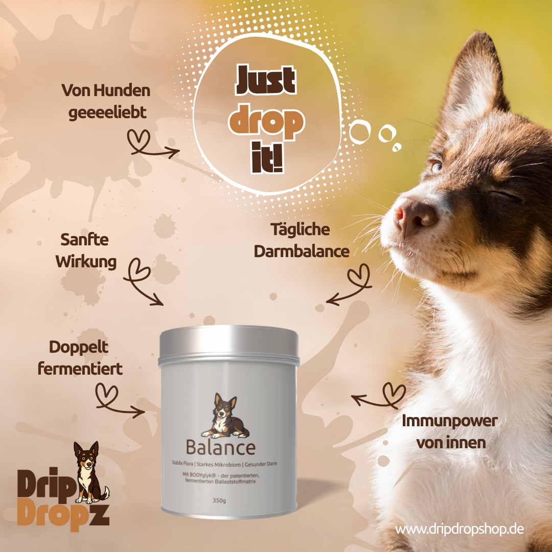 DripDropz - Balance | Darmruhe, Balance & Wohlbefinden für deinen Hund