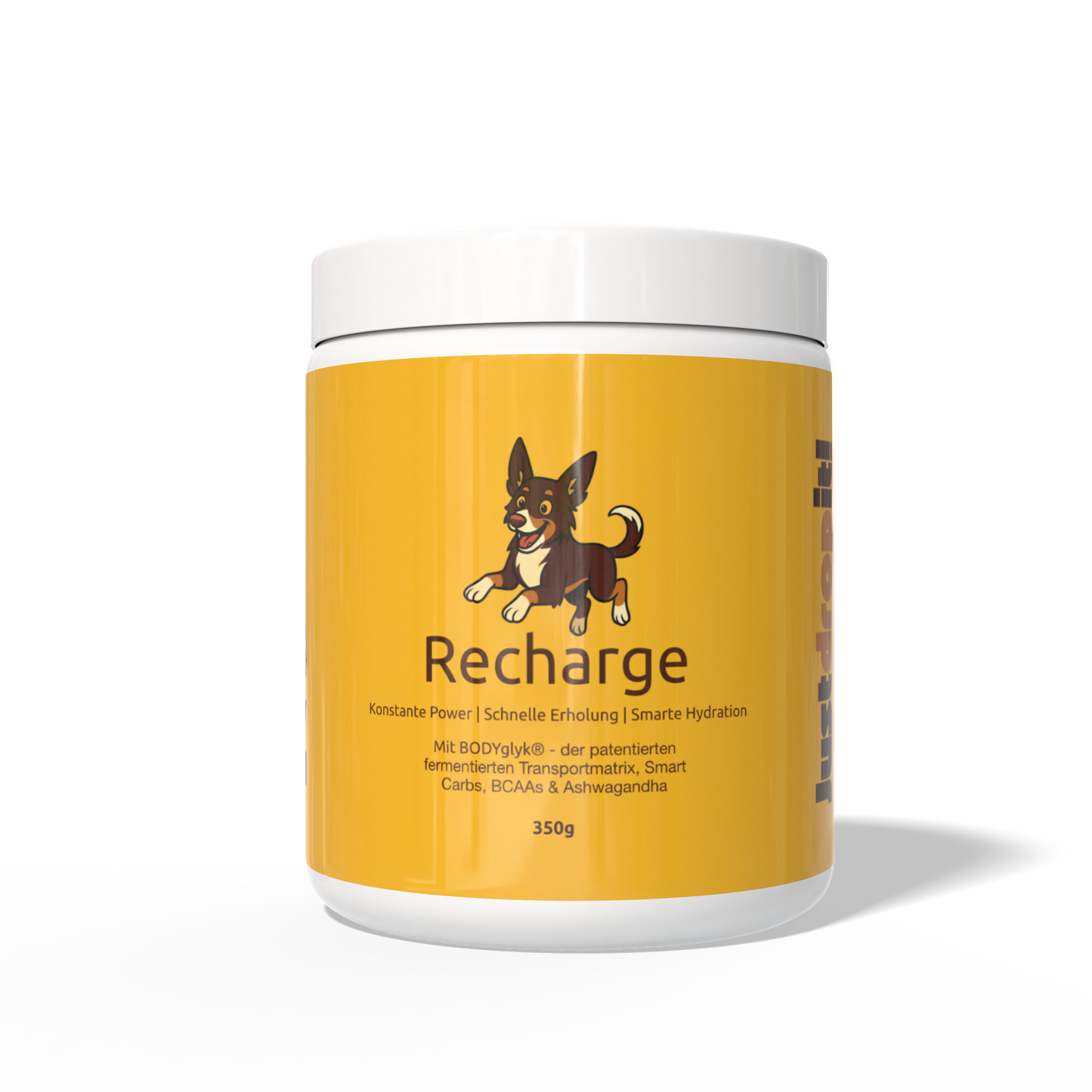 DripDropz - Recharge | Energie, Ausdauer & Balance für deinen Hund