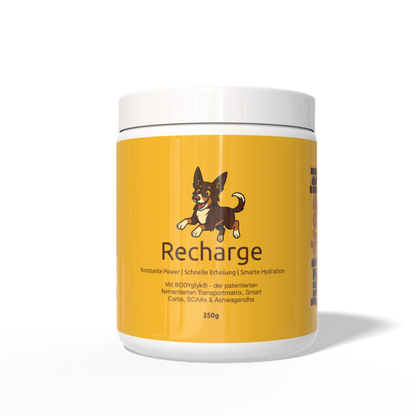 DripDropz - Recharge | Energie, Ausdauer & Balance für deinen Hund