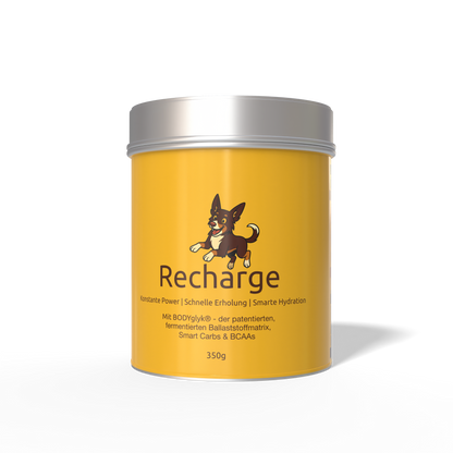DripDropz - Recharge | Energie, Ausdauer & Balance für deinen Hund