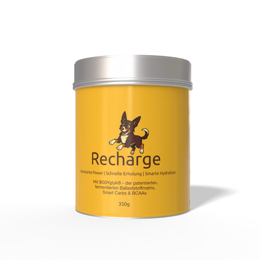 DripDropz - Recharge | Energie, Ausdauer & Balance für deinen Hund