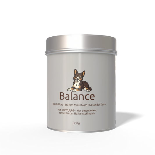DripDropz - Balance | Darmruhe, Balance & Wohlbefinden für deinen Hund
