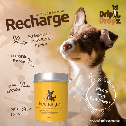 DripDropz - Recharge | Energie, Ausdauer & Balance für deinen Hund