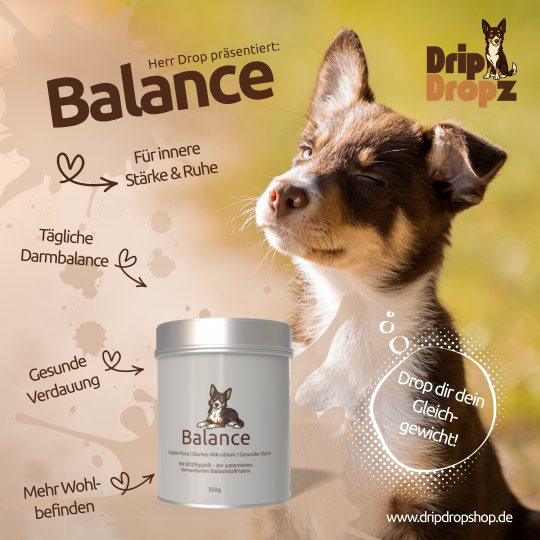 DripDropz - Balance | Darmruhe, Balance & Wohlbefinden für deinen Hund
