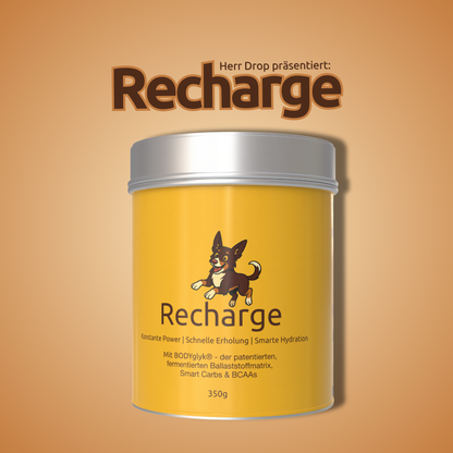 Recharge – Energie & Stabilität