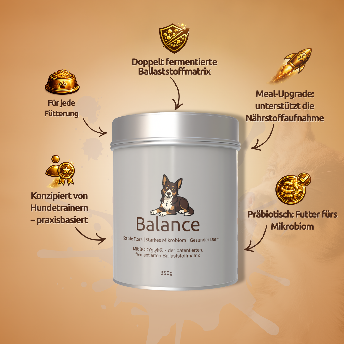 Balance – Darmroutine & Ruhe