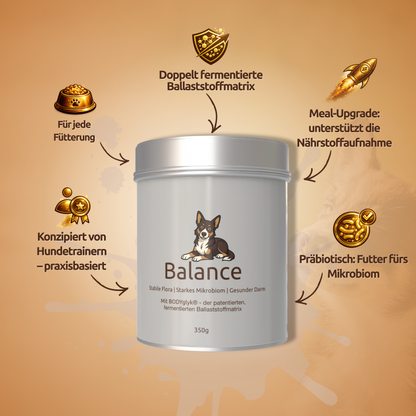 Balance – Darmroutine & Ruhe