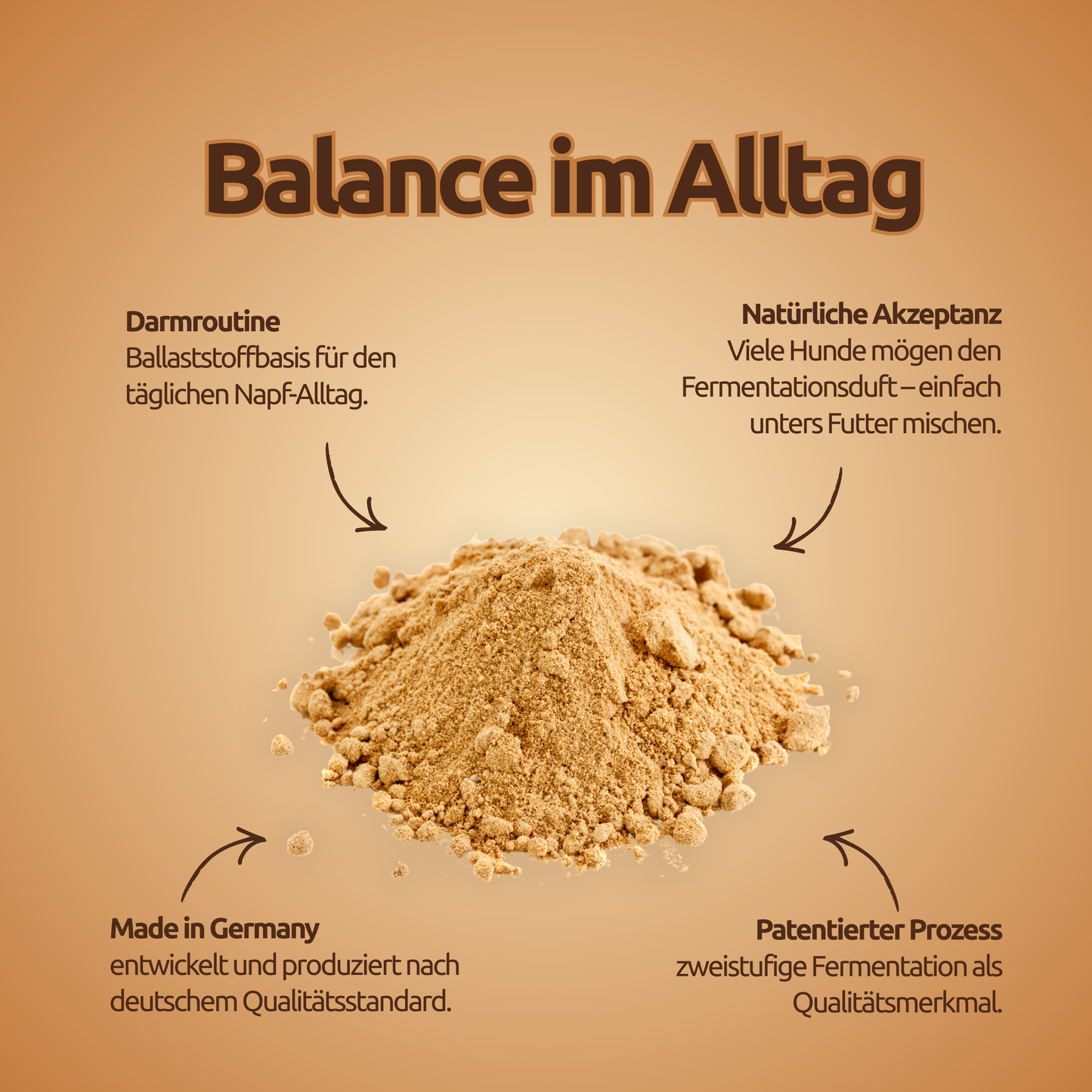 Balance – Darmroutine & Ruhe