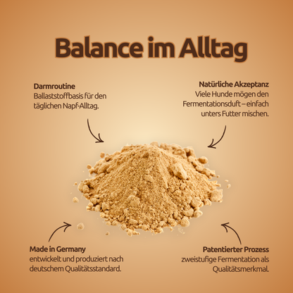 Balance – Darmroutine & Ruhe